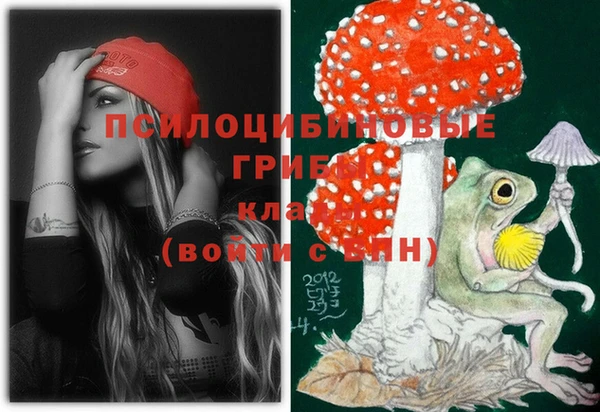 героин Вяземский