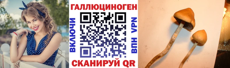 Галлюциногенные грибы прущие грибы Чайковский